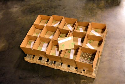 Step 7:  Packing and Shipping